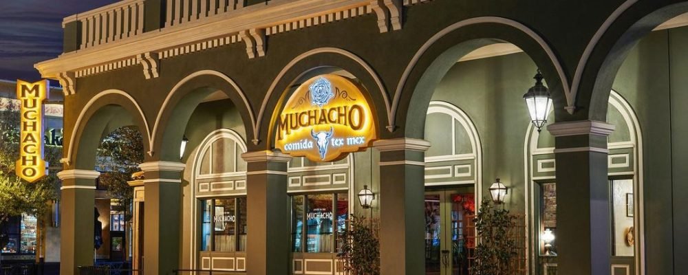 305502169_5176915282417010_2316264220546584116_n